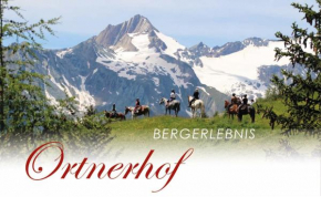 Hotel Ortnerhof - Reiten Wandern Genießen  Прегратен-Ам-Гросфенедигер